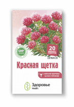 Красная щетка (родиола четырехчленная) - трава для женского здоровья Красная щетка (родиола четырехчленная) - трава для женского здоровья