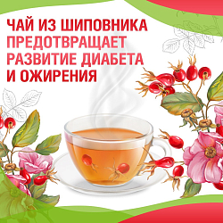 Чай из шиповника против сахарного диабета и ожирения