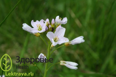 Зубянка