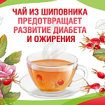 Чай из шиповника против сахарного диабета и ожирения