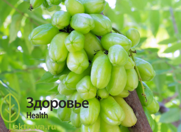 Билимби